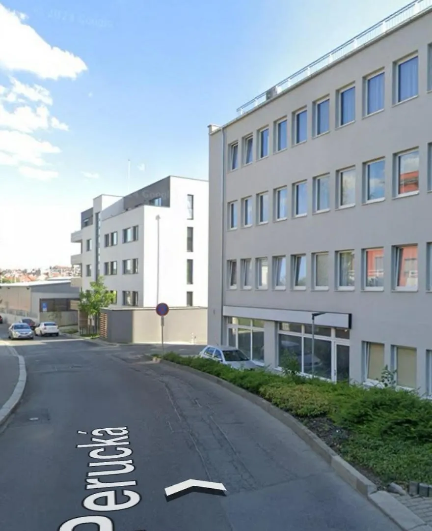 Green Studio Praha 2 L Ground Floor Free Parking 捷克